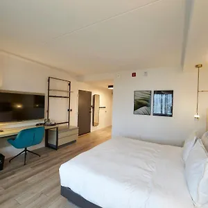 Bloom Mississauga, Tapestry Collection By Hilton Mississauga